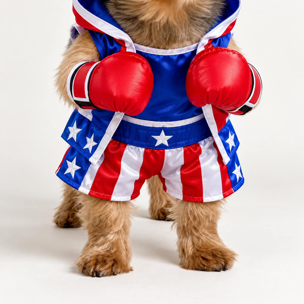 BarkWeight Champ Outfit
